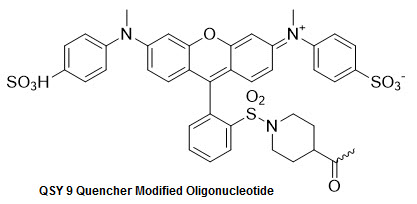 Bio-Synthesis Inc. Oligo Structure